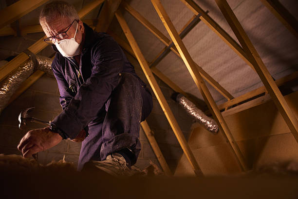Best Eco-Friendly Insulation in Grandview, OH